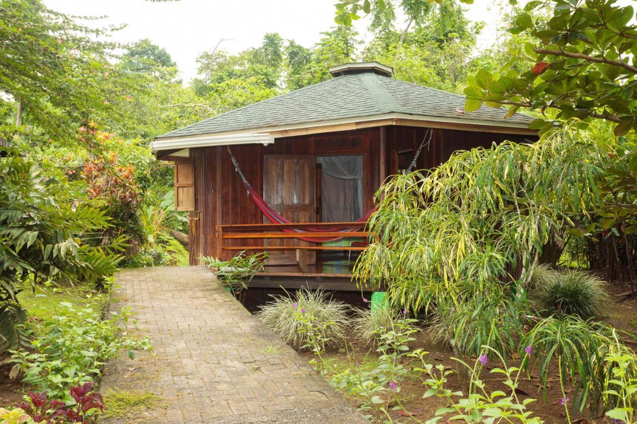 Bungalows Aché Cahuita Extérieur photo