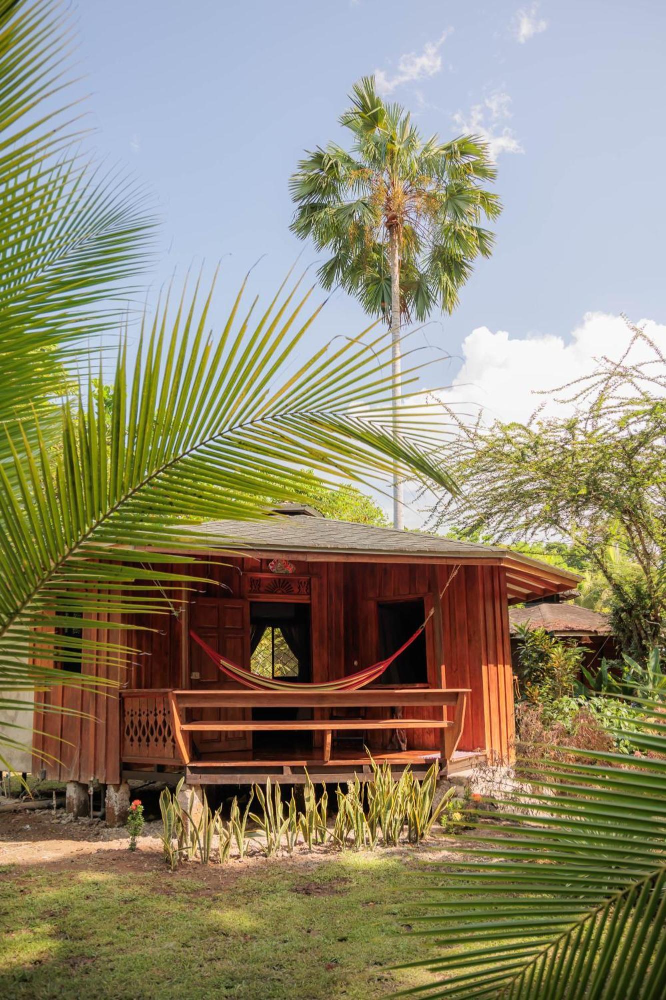 Bungalows Aché Cahuita Extérieur photo